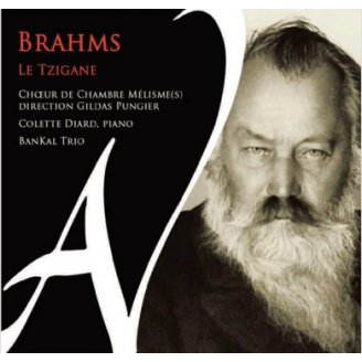 Brahms le tzigane